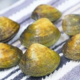Vongole al vapore