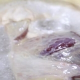 Tagliare la carne in scatola