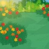 Daylilies di propagazione