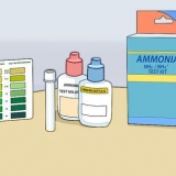 Abbassa il livello di ammoniaca nel tuo acquario