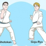 Comprendere le basi del karate