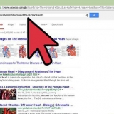 Disegnare la struttura interna del cuore