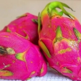 Mangiare il frutto del drago (pitaya)