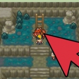 Ottieni dratini in pokémon soulsilver