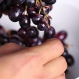 Fare il succo d'uva