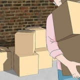 Uccidere gli scarafaggi tedeschi