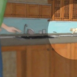 Rimuovi gli scoiattoli da casa tua