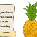 Coltivare un ananas