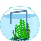 Come avvitare un acquario nel modo giusto