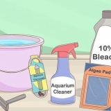 Pulizia di un acquario