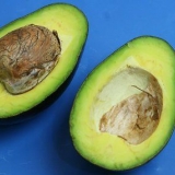 Mangiare un avocado