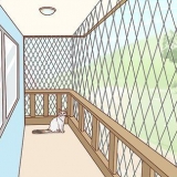 Rendere un balcone sicuro per i gatti