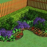 Crea un giardino fiorito