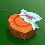 Tieni un ceppo d'albero
