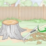 Bruciare un ceppo d'albero