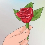 Appunta un fiore all'occhiello