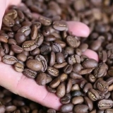Usando una caffettiera