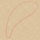 Disegnare un delfino
