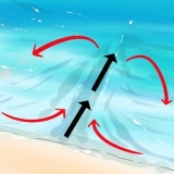 Sopravvivere a un flusso di marea
