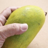 Scegliere un buon mango