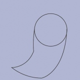 Disegnare uno squalo