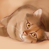 Trattare l'ictus di un gatto