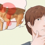 Far ingrassare un cane