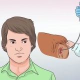 Insemina artificialmente un cane