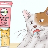 Aiutare un gatto a tossire una palla di pelo