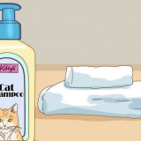 Fare il bagno a un gatto con danni minimi