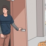 Chiamando un gatto