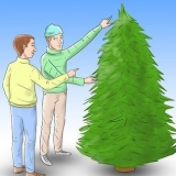 Prendersi cura di un albero di natale