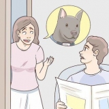 Alla ricerca di un cane smarrito