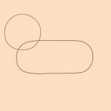 Disegnare un leone