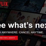 Riprendi un abbonamento netflix che è stato annullato