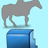 Monta un cavallo