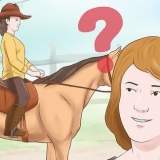 Addestrare un cavallo
