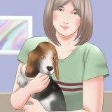 Scegliere un cucciolo da una cucciolata