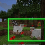 Come fare una pecora arcobaleno in minecraft