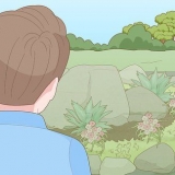 Creazione di un giardino roccioso con prevenzione delle erbe infestanti