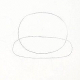 Disegnare una tartaruga