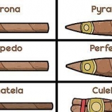 Fumare un sigaro