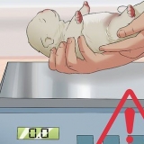 Salvare un cucciolo appena nato morente