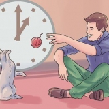 Accogli un secondo gatto e non far arrabbiare il vecchio gatto