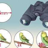 La scelta del binocolo