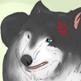 Avvicinarsi a un cane randagio