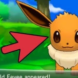 Eevee eevee in espeon o umbreon