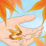 Semi d'acero in germinazione