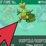 Feebas in evoluzione in pokemon