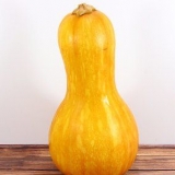 Conservare la zucca in bottiglia